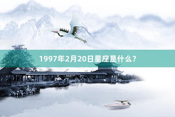 1997年2月20日星座是什么?